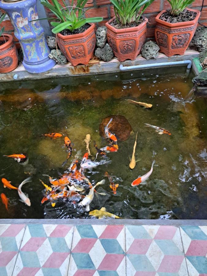 Hoa Lan Motel & Homestay Giong Tu Dien Exteriör bild